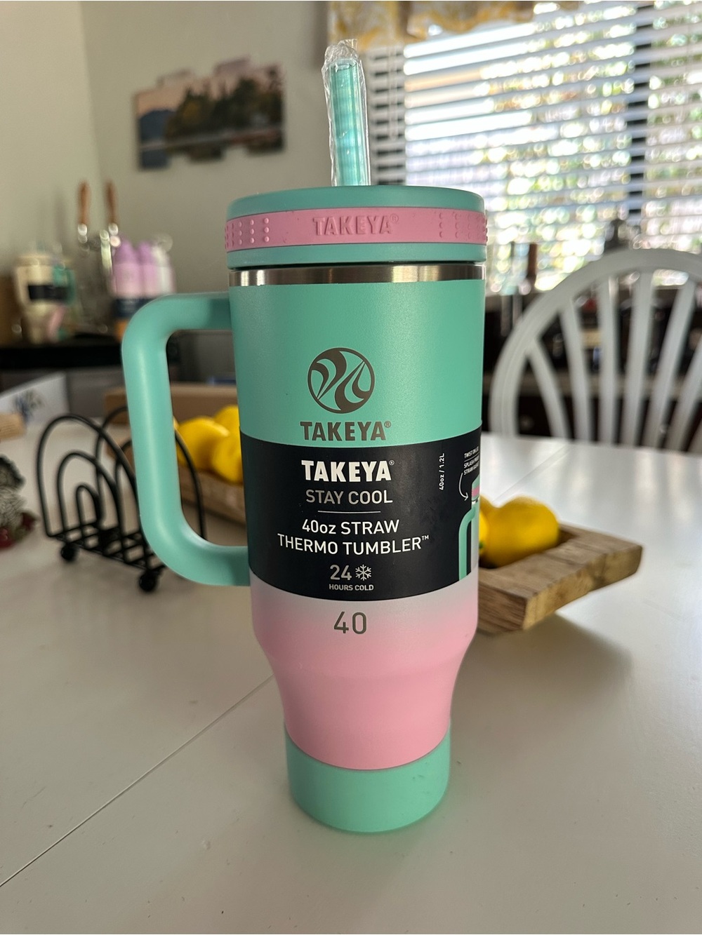 Takeya Stay Cool 40oz Straw Thermo Tumbler - Mint & Pink